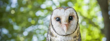 THE ROOKEEPERS KIDS WILDLIFE PARTIES Melbourne 1