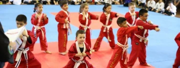 White Wolf Martial Arts Bonnyrigg Heights 1