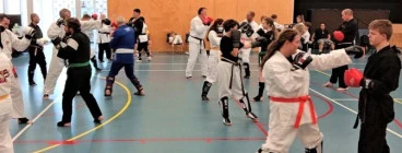 Adult & Junior Classes Wednesdays at Antonio Catholic School gym Morphett Vale