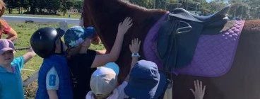 Reins Riding Academy Alberton 1