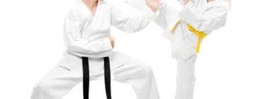 Karate Academy of Japan Gojuryu Rosemeadow 1