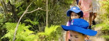 EcoWalks Tours Mosman 1