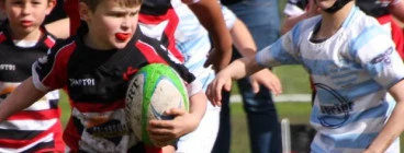 Kiwi Hawthorn Junior Rugby Club Camberwell 1
