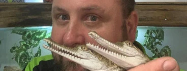 Snake Safe Victoria Kilmore 1