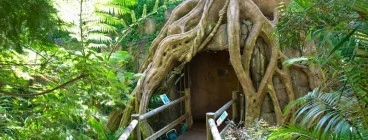 The Glow Worm cave entrance