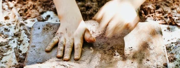 Big Scrub Nature Play Lennox Head 1