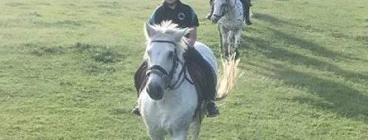 Tamaqi Park Equestrian Singleton 1