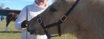 Southern Tablelands Riding School Goulburn 1