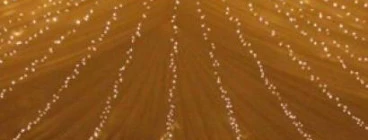 Fairy Lights
