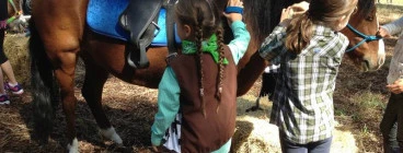 Banjo having a pony pamper!