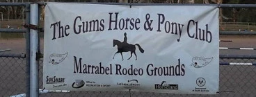 Gums Banner