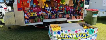 Lucky Ducks