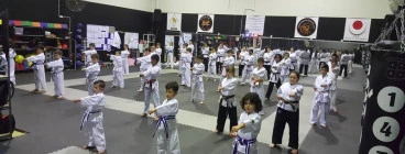 Kids Karate Class