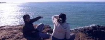 Seeing dolphins at Fingal