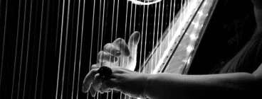 North Ryde HARP and PIANO Academy! North Ryde 1