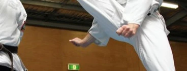 Instructors practising jumping kicks