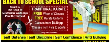 Toya Kan Karate Helensvale 1
