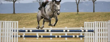 Tic Toc Equestrian Freemans Reach 1