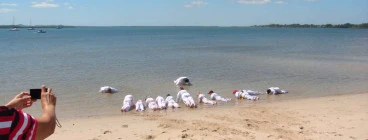 Karate Academy Capalaba Capalaba 1