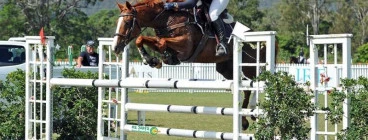 Showjumping