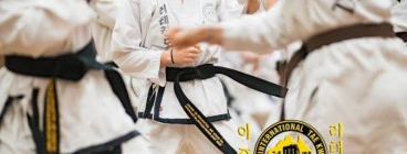 Rhee Tae Kwon Do - Carine Carine 1