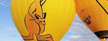 Koala Balloon on a beautiful sunny day