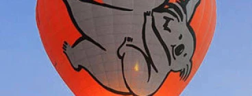 Koala Hot Air Balloon