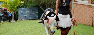 Enjoy a Themed Pony Party at Your Place or Horseshoe Park!
