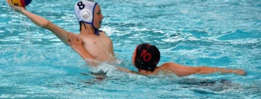 DVE Aquatic Greensborough 1