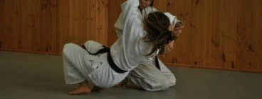 Yoshinkan Aikido