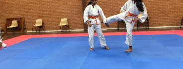 Wentworthville Aikido South Wentworthville 1