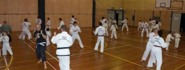 Rhee Taekwondo