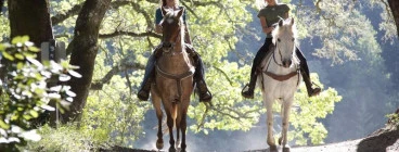 TRAIL RIDES, PRIVATE RIDES PICNIC RIDES BREAKFAST RIDE