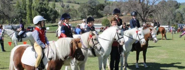 Kurrajong Park Equestrian Centre Wangaratta 1