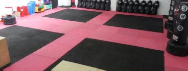 Crocodile Martial Arts Australia Klemzig 1