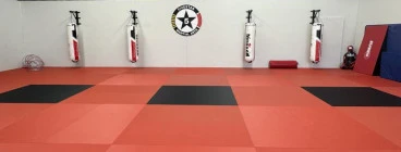 FiveStar Martial Arts Shellharbour Albion Park Rail 1