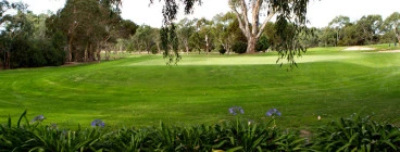 9th Green