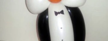 Cute penguin