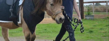 Party Ponies Old Reynella 1