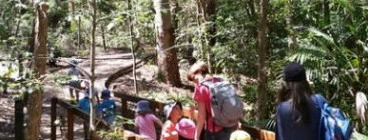 Bushwalking excursions