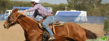 Camden Bicentennial Equestrial Park Camden 1