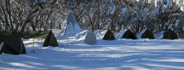 Alpine Camp Mt.Stirling