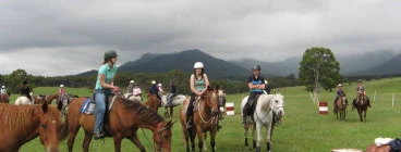 Centennial Glen Stables Blackheath 1