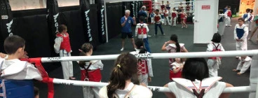 Wyllie Martial Arts Willoughby 1