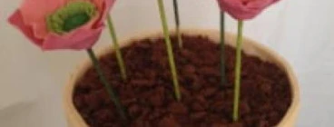 A birthday flower pot cake
