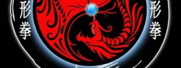 Wu Xing Dao Kung Fu