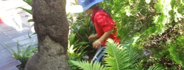 Our inviting exploration garden