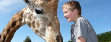 Feed a Giraffe!