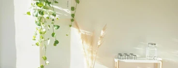 Massage Northcote