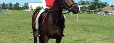 Park Ridge Pony Club Jimboomba 1
